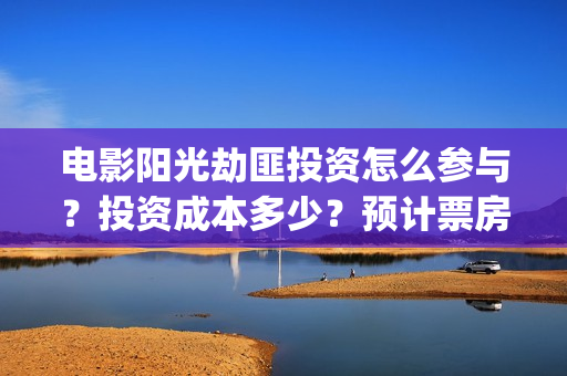 电影阳光劫匪投资怎么参与？投资成本多少？预计票房(阳光劫匪hd)