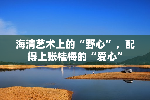 海清艺术上的“野心”，配得上张桂梅的“爱心”