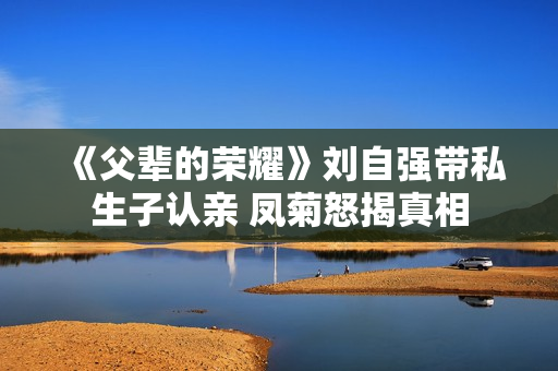 《父辈的荣耀》刘自强带私生子认亲 凤菊怒揭真相 《父辈的荣耀》刘自强带私生子认亲 凤菊怒揭真相