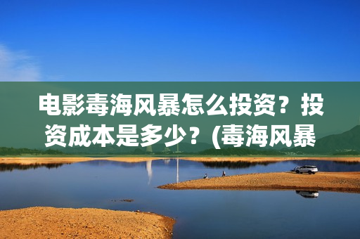 电影毒海风暴怎么投资？投资成本是多少？(毒海风暴上映时间)