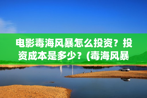 电影毒海风暴怎么投资？投资成本是多少？(毒海风暴 电影)