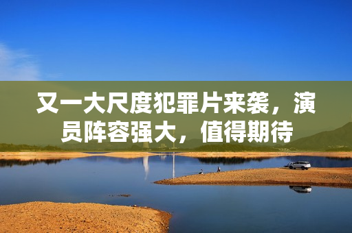 又一大尺度犯罪片来袭，演员阵容强大，值得期待