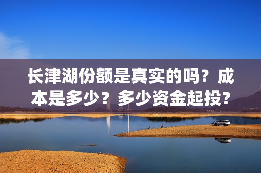 长津湖份额是真实的吗？成本是多少？多少资金起投？怎么投资？(长津湖卖份额是真的吗)