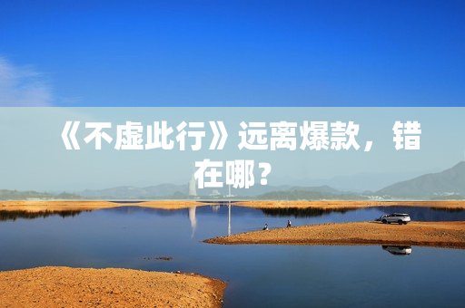 《不虚此行》远离爆款,错在哪? 《不虚此行》远离爆款,错在哪?
