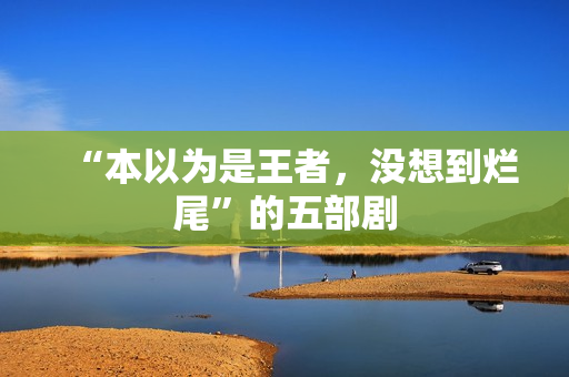 “本以为是王者，没想到烂尾”的五部剧