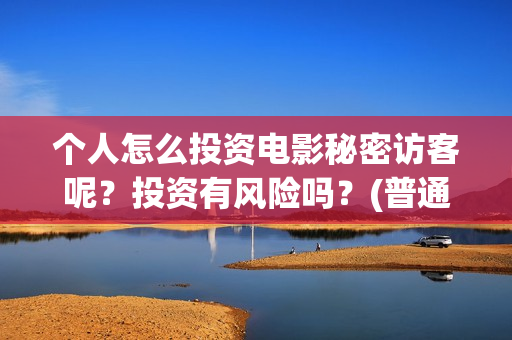 个人怎么投资电影秘密访客呢？投资有风险吗？(普通百姓怎样投资电影)