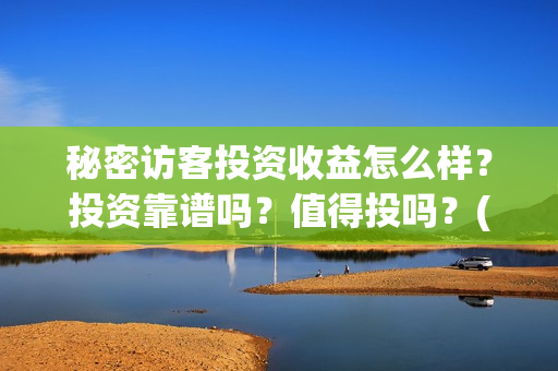 秘密访客投资收益怎么样？投资靠谱吗？值得投吗？(秘密访客总投资)