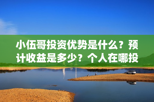 小伍哥投资优势是什么?预计收益是多少?个人在哪投资?(《小伍哥》) 小伍哥投资优势是什么?预计收益是多少?个人在哪投资?(《小伍哥》)