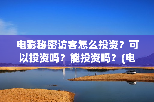 电影秘密访客怎么投资？可以投资吗？能投资吗？(电影秘密访客没看懂)