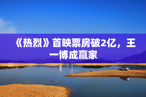 《热烈》首映票房破2亿，王一博成赢家