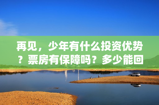 再见，少年有什么投资优势？票房有保障吗？多少能回本？(再见,少年语录)