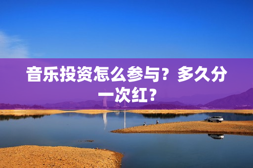 音乐投资怎么参与？多久分一次红？