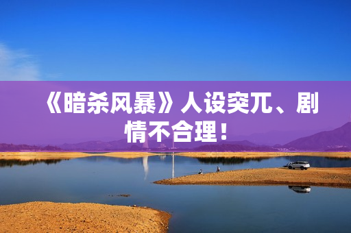 《暗杀风暴》人设突兀、剧情不合理! 《暗杀风暴》人设突兀、剧情不合理!