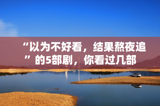 “以为不好看，结果熬夜追”的5部剧，你看过几部
