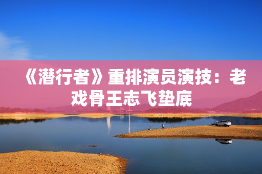 《潜行者》重排演员演技：老戏骨王志飞垫底