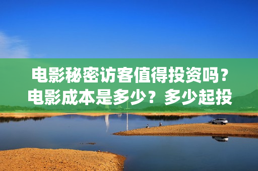 电影秘密访客值得投资吗？电影成本是多少？多少起投(电影秘密访客值多少钱啊)