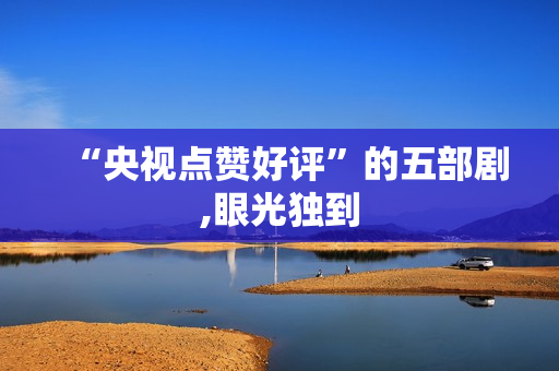 “央视点赞好评”的五部剧,眼光独到