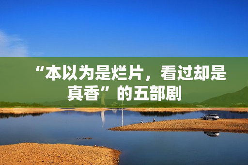 “本以为是烂片，看过却是真香”的五部剧