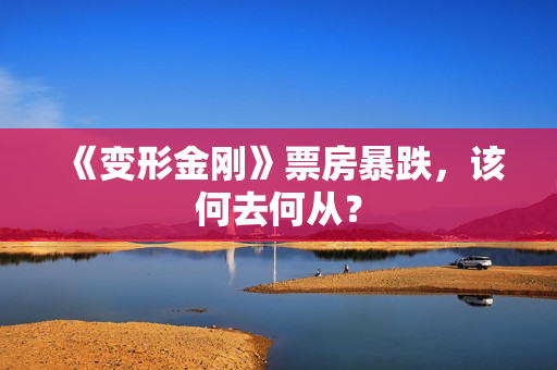 《变形金刚》票房暴跌，该何去何从？