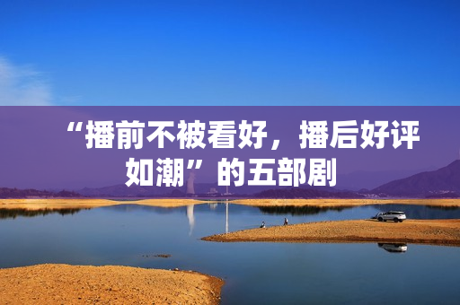 “播前不被看好,播后好评如潮”的五部剧 “播前不被看好,播后好评如潮”的五部剧