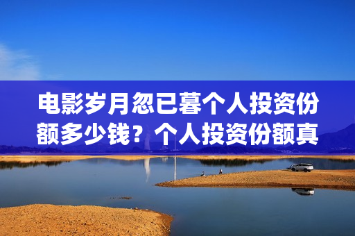 电影岁月忽已暮个人投资份额多少钱？个人投资份额真实吗？(电影岁月忽已暮经典语录)