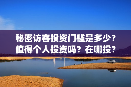 秘密访客投资门槛是多少？值得个人投资吗？在哪投？(秘密访客总投资)