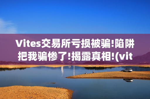 Vites交易所亏损被骗!陷阱把我骗惨了!揭露真相!(vitex交易所)