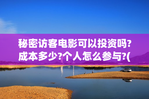 秘密访客电影可以投资吗?成本多少?个人怎么参与?(秘密访客电影啥意思)