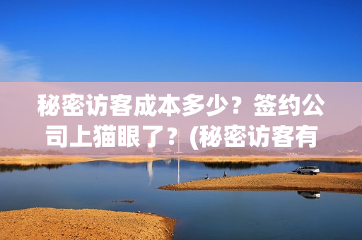 秘密访客成本多少？签约公司上猫眼了？(秘密访客有多久)
