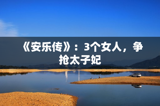 《安乐传》：3个女人，争抢太子妃