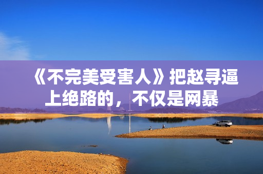 《不完美受害人》把赵寻逼上绝路的，不仅是网暴