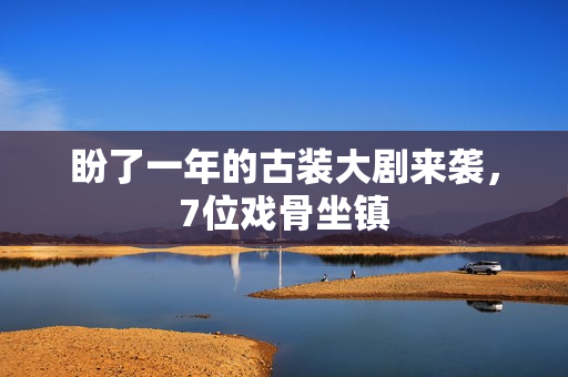 盼了一年的古装大剧来袭，7位戏骨坐镇
