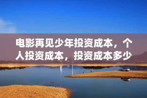 电影再见少年投资成本，个人投资成本，投资成本多少？(再见少年电影预告)
