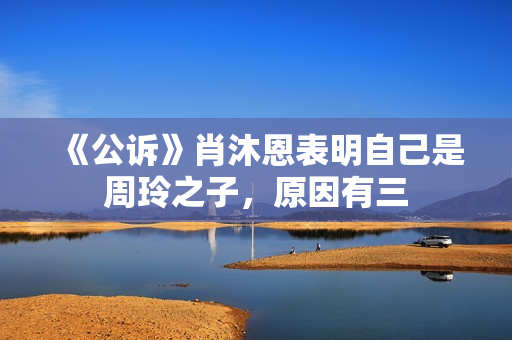 《公诉》肖沐恩表明自己是周玲之子，原因有三