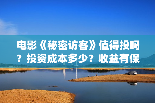 电影《秘密访客》值得投吗？投资成本多少？收益有保障吗？(电影《秘密访客》演员表)