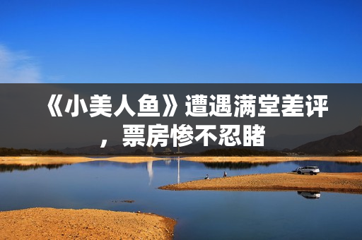 《小美人鱼》遭遇满堂差评，票房惨不忍睹