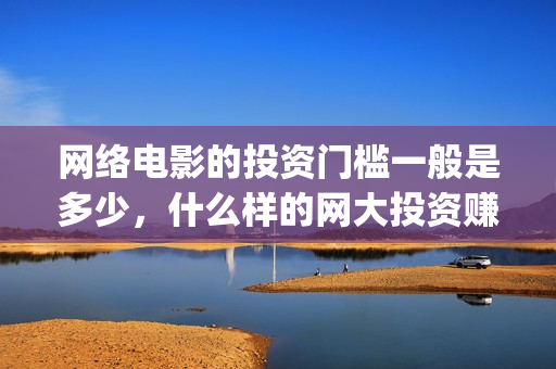 网络电影的投资门槛一般是多少，什么样的网大投资赚钱(网络电影投资风险评估)
