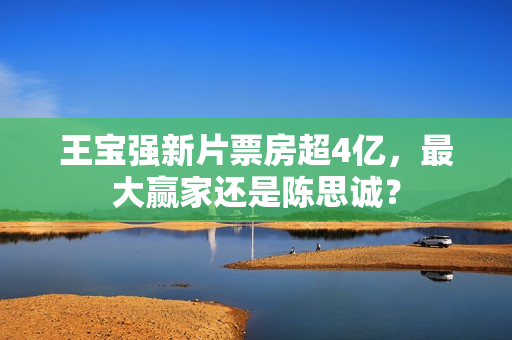 王宝强新片票房超4亿，最大赢家还是陈思诚？