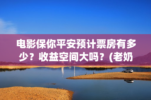电影保你平安预计票房有多少？收益空间大吗？(老奶奶说保你平安什么意思)