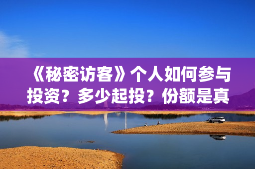 《秘密访客》个人如何参与投资?多少起投?份额是真实的吗?(秘密访客细节解说) 《秘密访客》个人如何参与投资?多少起投?份额是真实的吗?(秘密访客细节解说)