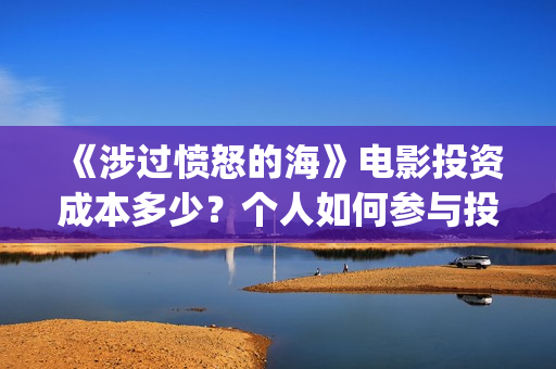 《涉过愤怒的海》电影投资成本多少？个人如何参与投资？投资优势有哪些？(涉过愤怒的海剧情解析)
