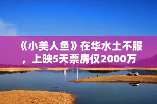 《小美人鱼》在华水土不服，上映5天票房仅2000万