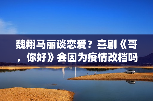 魏翔马丽谈恋爱？喜剧《哥，你好》会因为疫情改档吗？投资有风险吗？(魏翔女友)