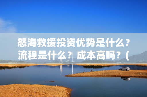 怒海救援投资优势是什么？流程是什么？成本高吗？(《怒海救援》)