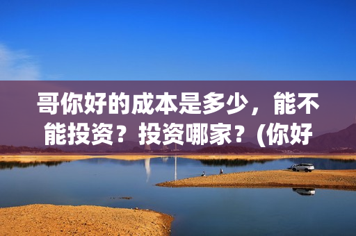 哥你好的成本是多少，能不能投资？投资哪家？(你好哥哥语音)