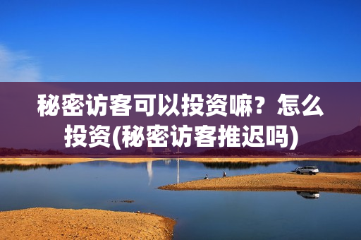 秘密访客可以投资嘛？怎么投资(秘密访客推迟吗)