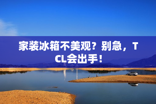 家装冰箱不美观？别急，TCL会出手！