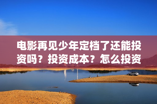 电影再见少年定档了还能投资吗？投资成本？怎么投资？(再见少年演的啥)