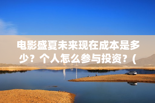 电影盛夏未来现在成本是多少？个人怎么参与投资？(电影 盛夏未来)