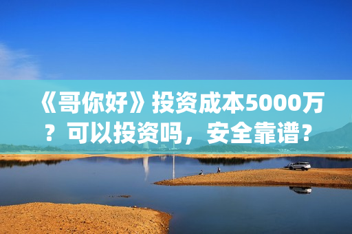 《哥你好》投资成本5000万？可以投资吗，安全靠谱？(《哥你好》投资多少钱)